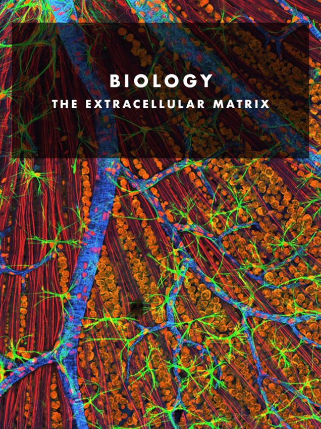 BIOLOGY.-Chapter-3.-Pdf.pdf