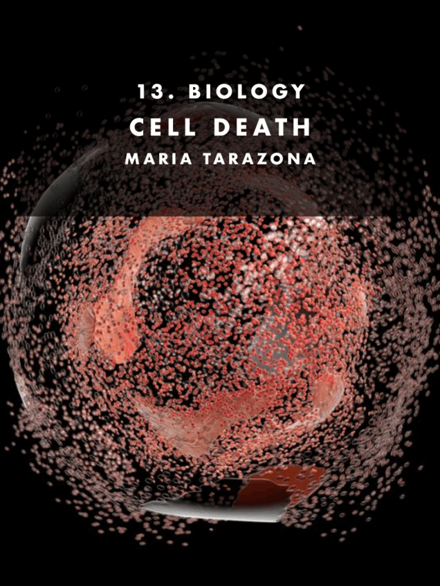 13.-BIOLOGY.-CELL-DEATH.-Pdf.pdf