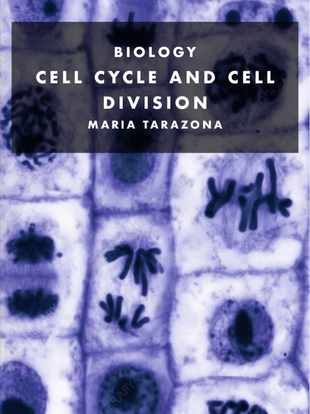 11.-Biology.-Cell-cycle-and-division.-Pdf.pdf