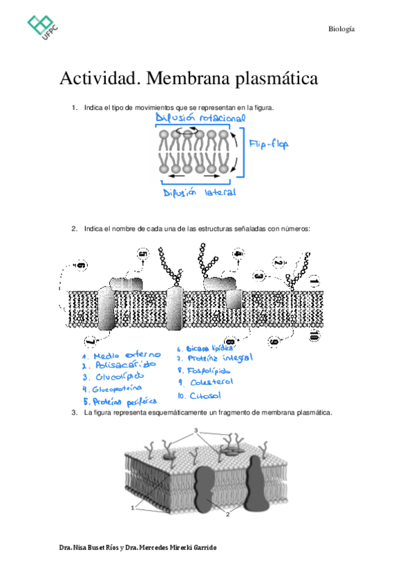 Transporte-de-MembranaTrabajo-individual.pdf