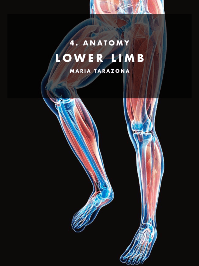 4.-Anatomy-of-the-LOWER-LIMB-pdf.pdf