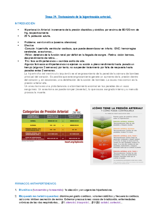 TEMA-29.HTA.pdf