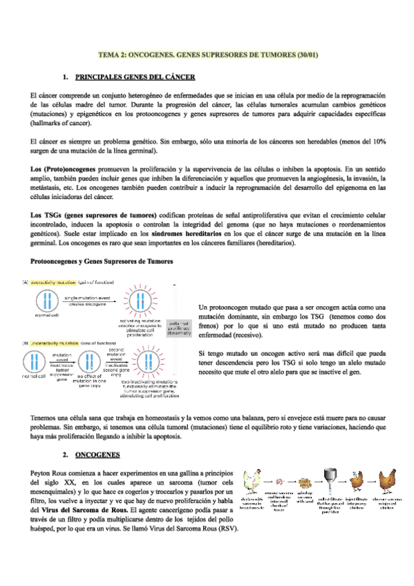 Tema2.pdf