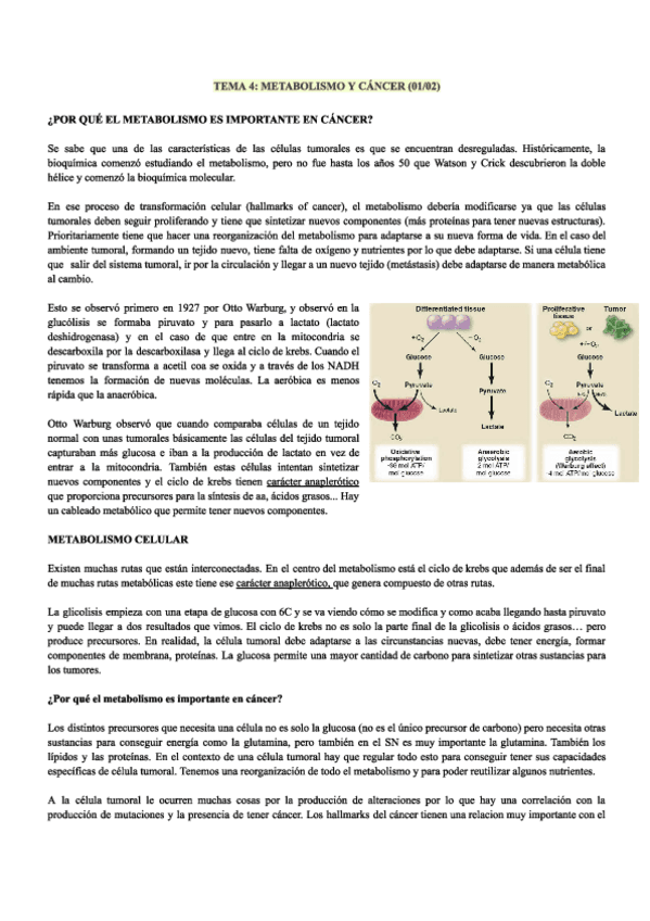 Tema4.pdf