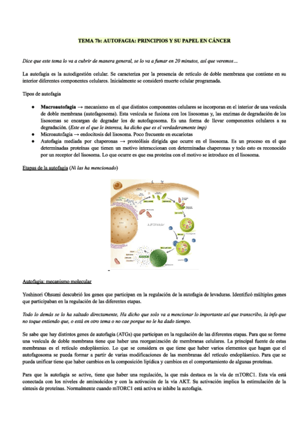 Tema7b.pdf