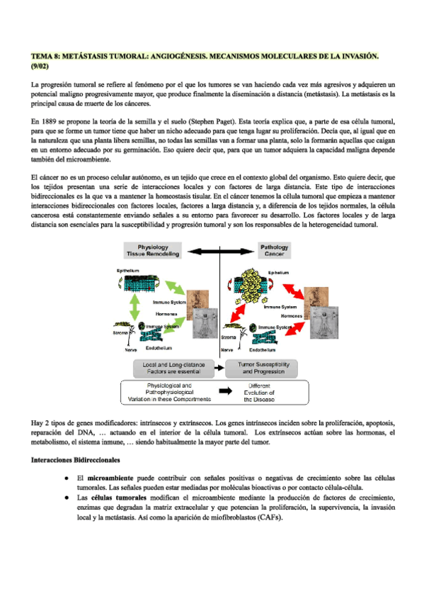 Tema8.pdf