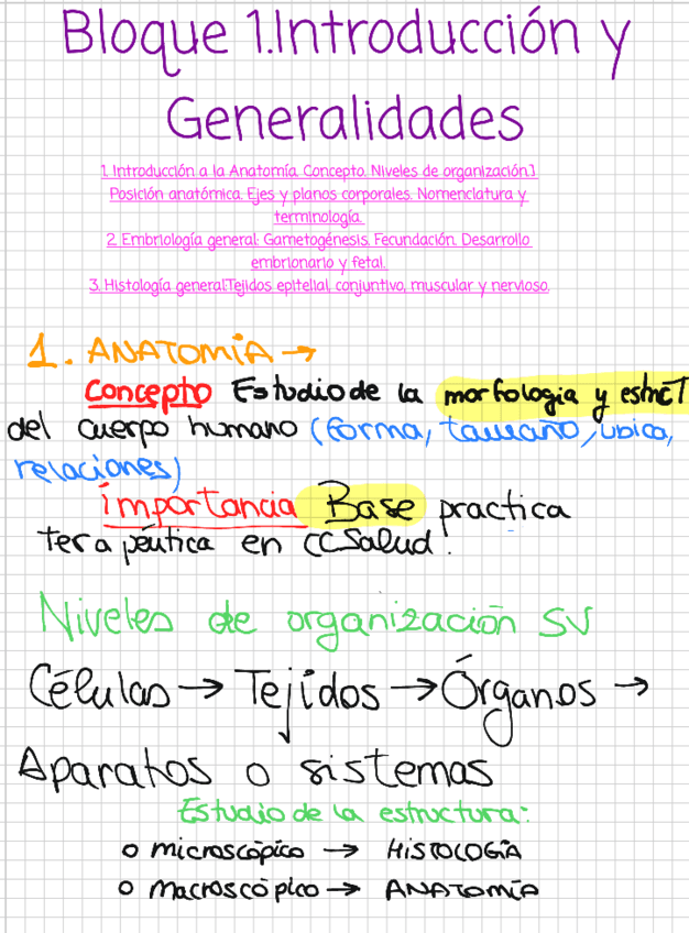 ANATOMIA-1-TO.pdf