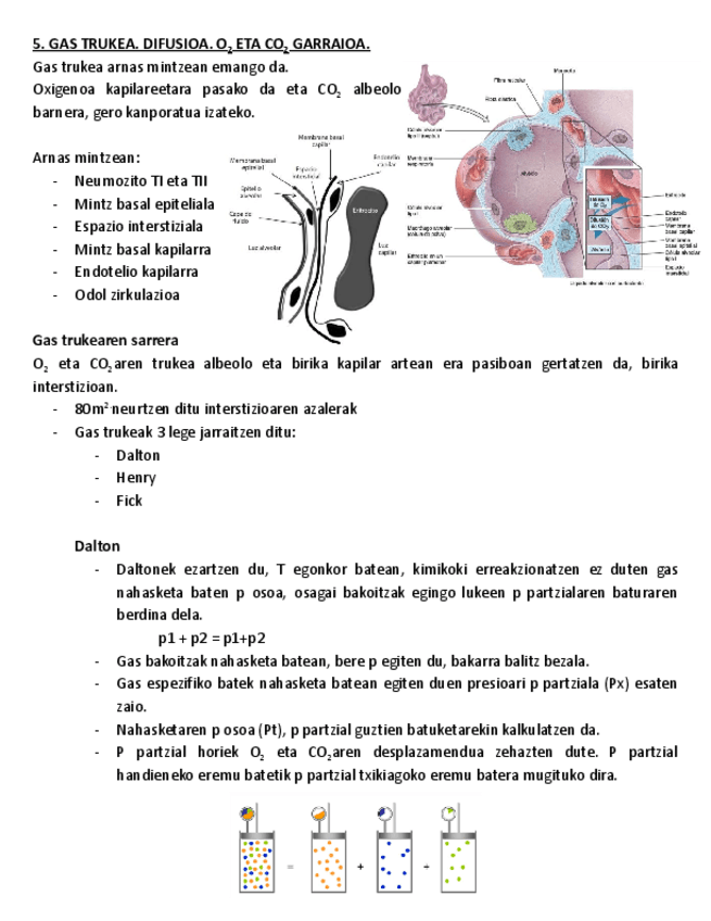 5.-GAS-TRUKEA.-DIFUSIOA.-O2-ETA-CO2-GARRAIOA.pdf
