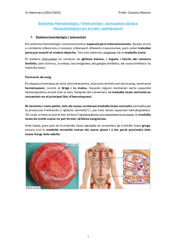 Sistema-Hematologic-i-Immunologic.pdf