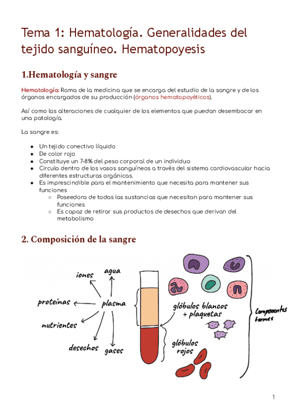 T.1.-Hematologia.-Generalidades-del-tejido-sanguineo.-Hematopoyesis-3.pdf