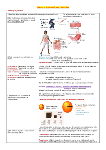 Fisiologia examen 1 (tema 1 -tema 4).pdf