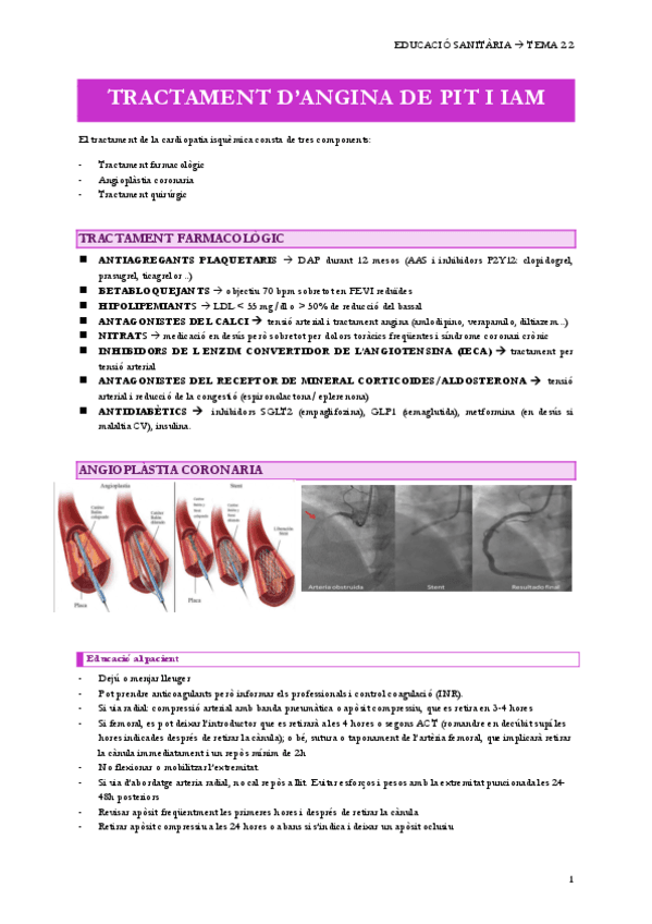 T2.2TRACTAMENT-DANGINA-I-IAM.pdf