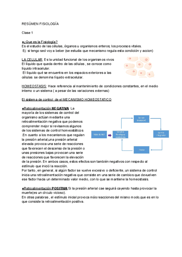 RESUMEN-FISIOLOGIA.pdf