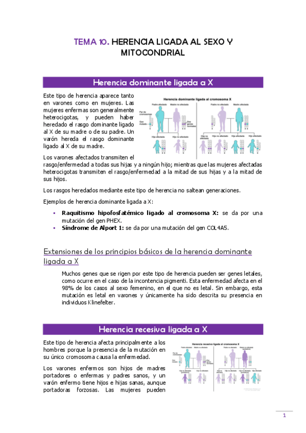 TEMA-10-Genetica.pdf