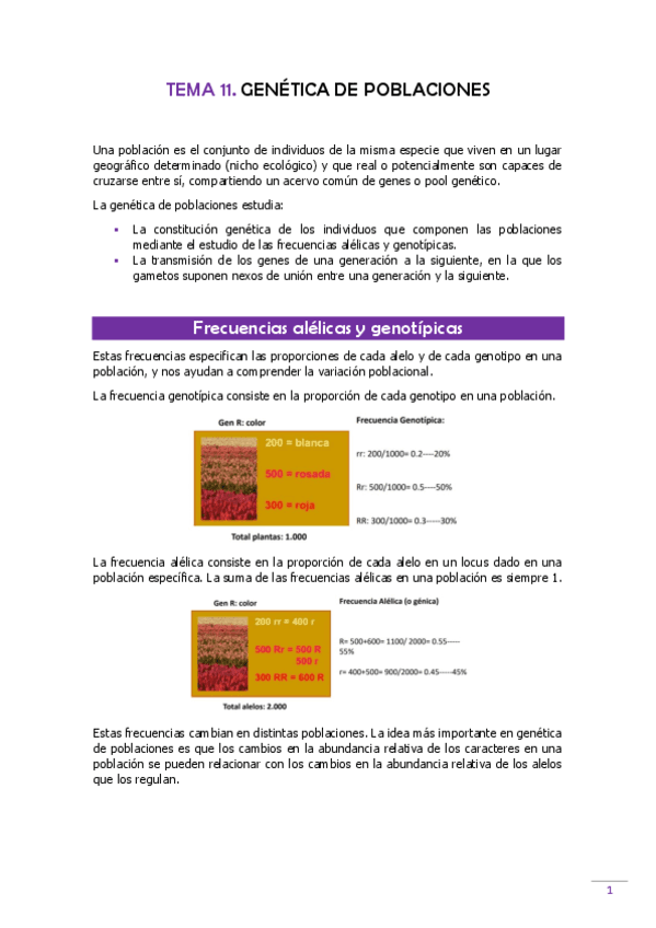 TEMA-11-Genetica.pdf