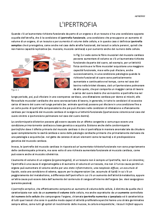 10-Patologia-Generale-16-03.pdf