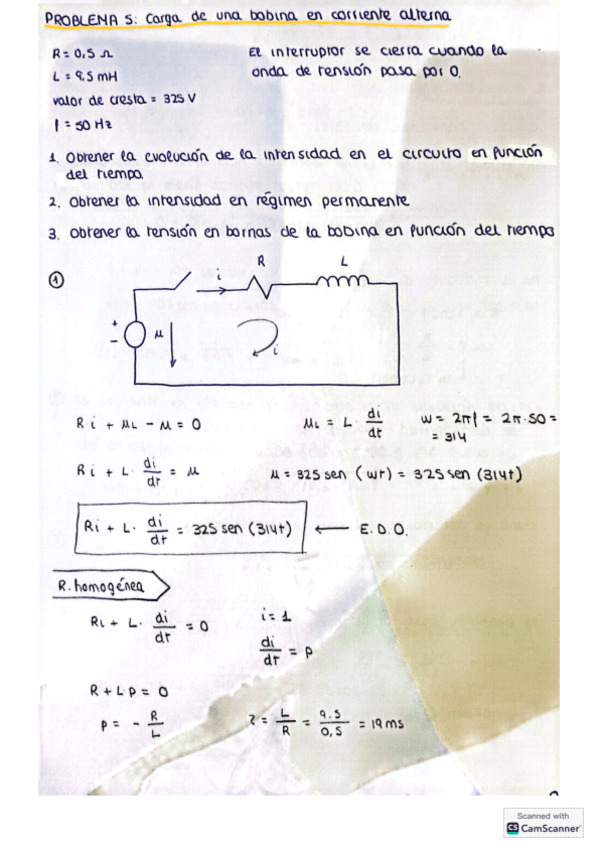 CARGA-BONINA-CA.pdf