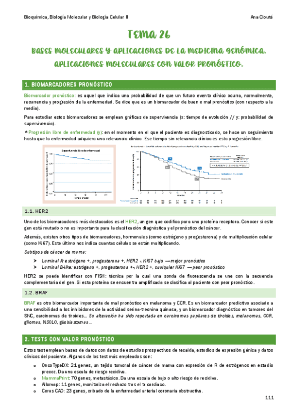 Tema-26.pdf