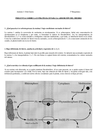 AbsorcionHierro.pdf