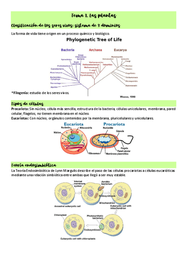 Tema-1-las-plantas.pdf