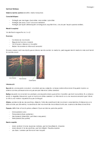 Seminari Reflexes.pdf