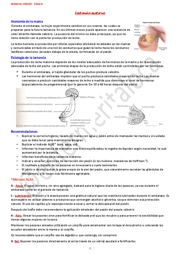 Materno-clase-6.pdf