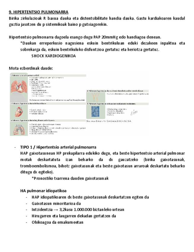 9.-HIPERTENTSIO-PULMONARRA.pdf