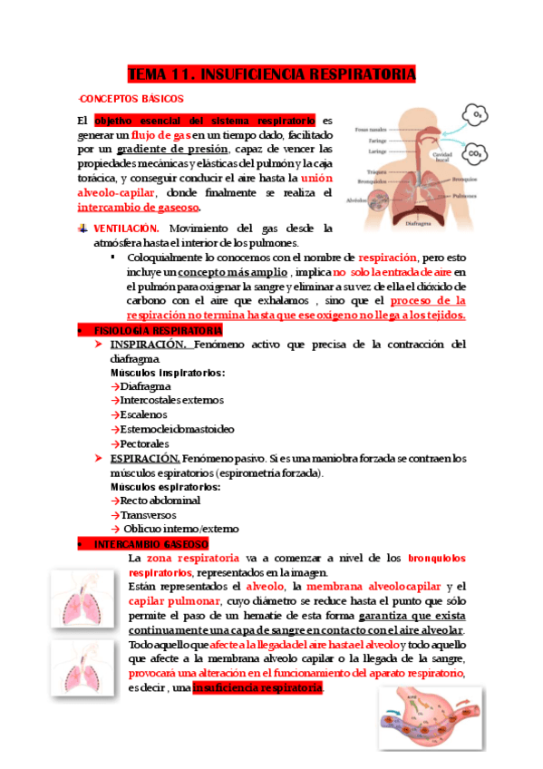 TEMA-11.-INSUFICIENCIA-RESPIRATORIA.pdf
