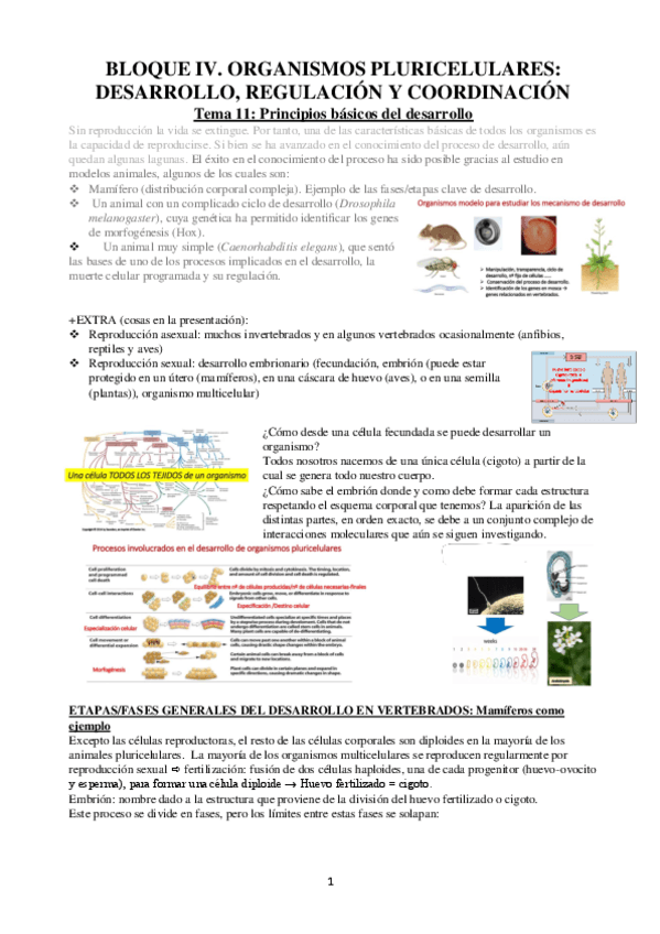 BIOLOGIA-Apuntes-Bloque-4.pdf