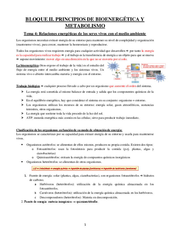 BIOLOGIA-apuntes-bloque-2.pdf