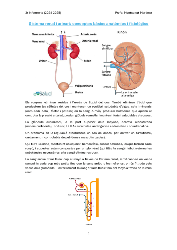 Sistema-Renal-i-Urinari.pdf