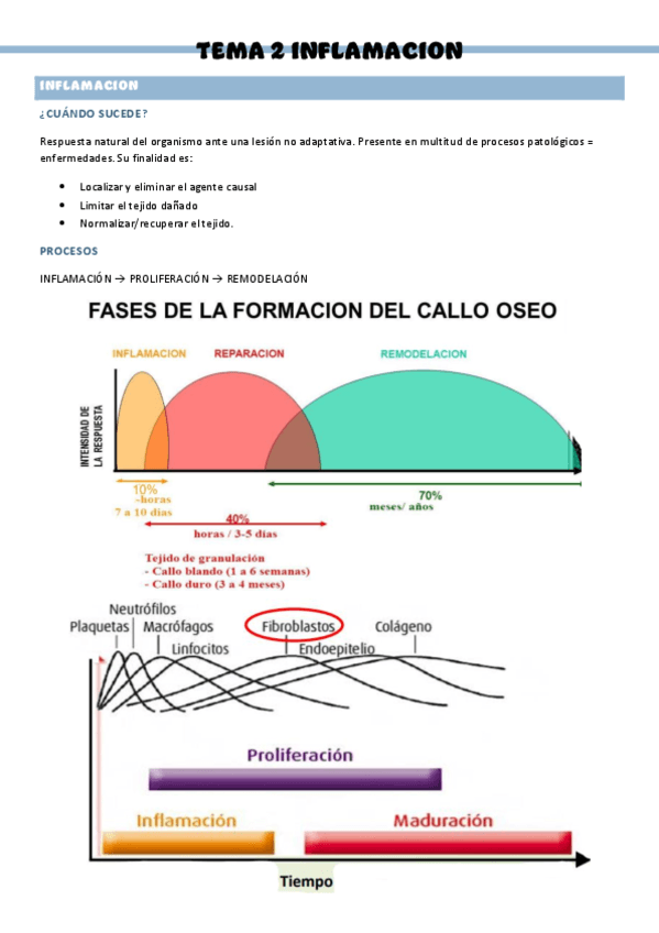 PATOLOGIA-QUIRURGICA-GENERAL-T2.pdf