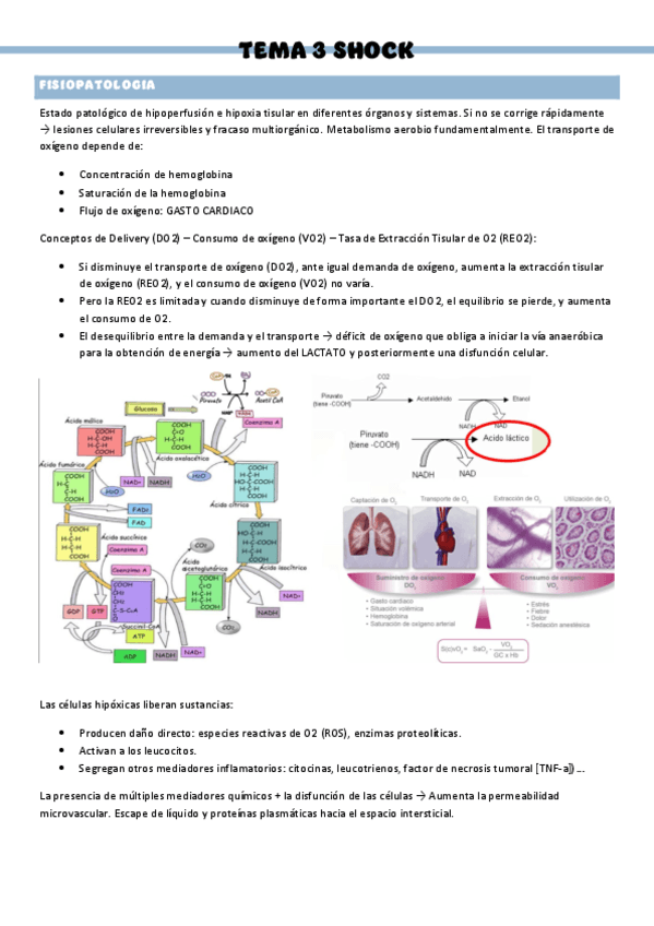 PATOLOGIA-QUIRURGICA-GENERAL-T3.pdf