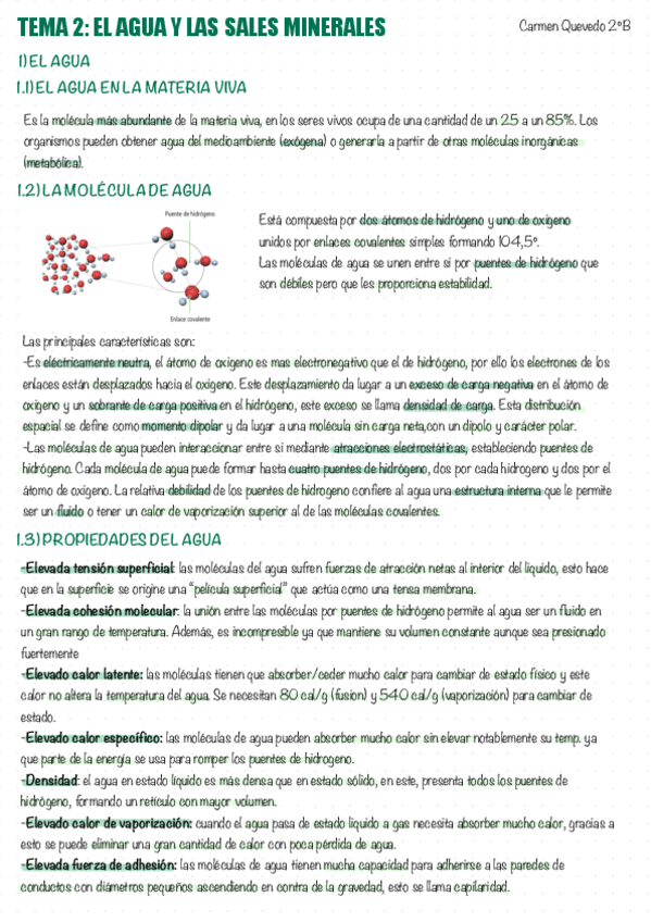 Agua-y-sales-minerales.pdf
