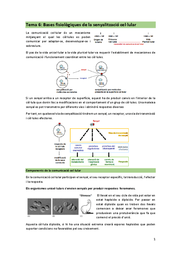 Tema-6-bases-fisiologiques-de-la-senyalitzacio-cat.pdf