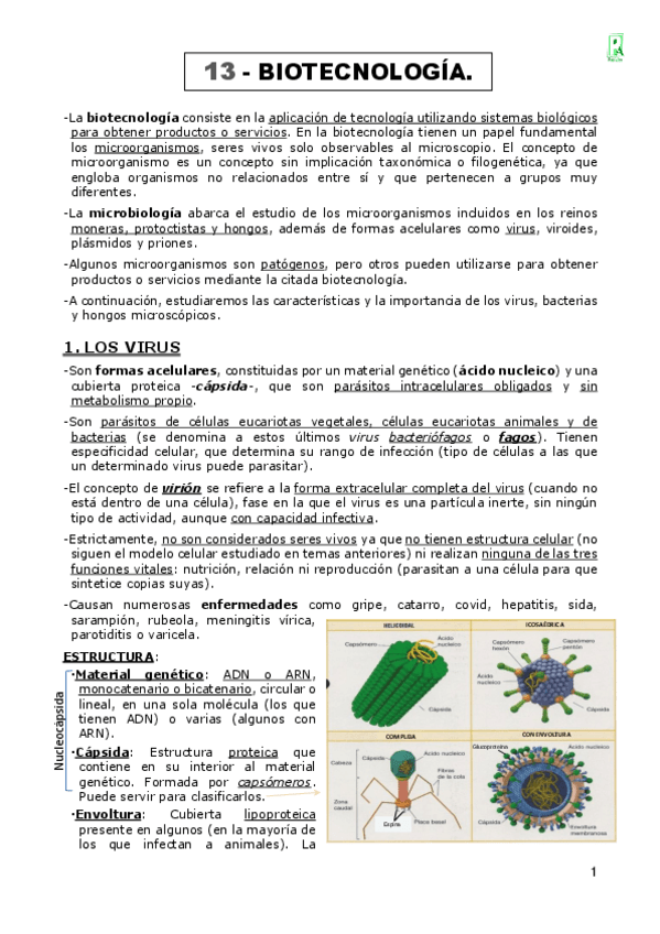 13-BIOTECNOLOGIA.pdf