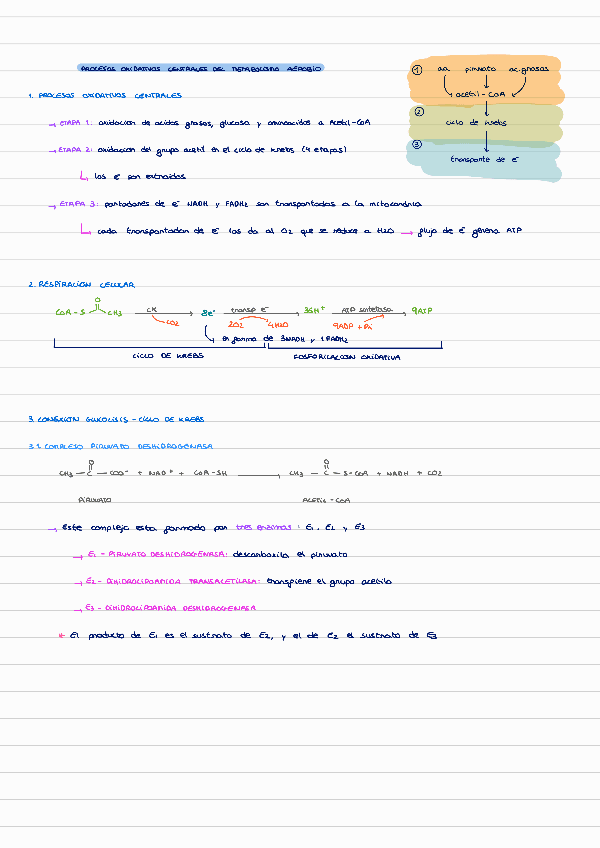 cap-3-procesos-oxidativos-metabo-aerobio.pdf