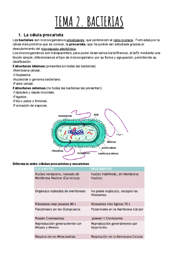 TEMA-2.-BACTERIAS.pdf