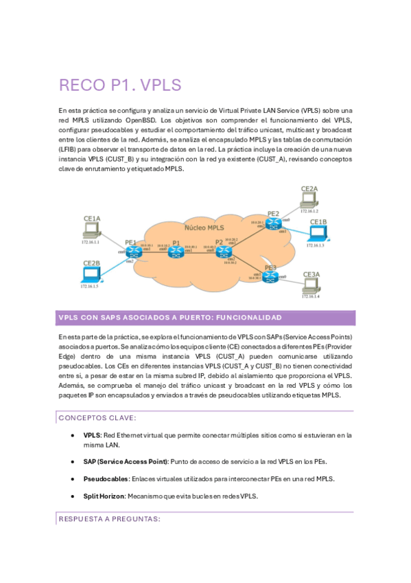 RECO-P1.pdf