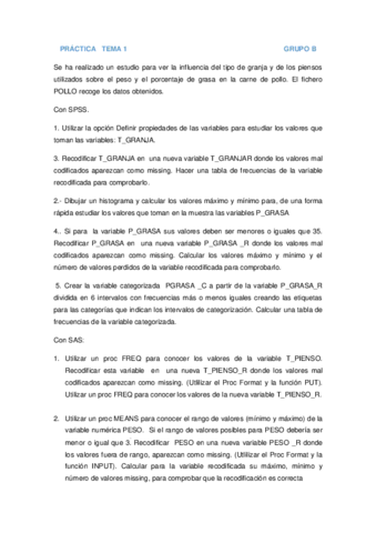 PRÁCTICA   TEMA 1 GRUPO B 2016.pdf