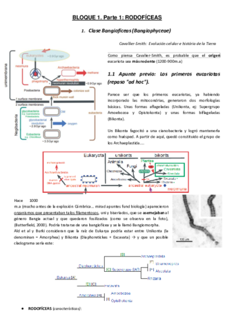 Bloque1M.pdf