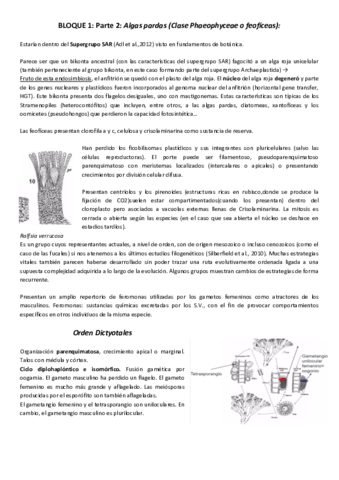 Bloque1Mparte2.docx.pdf
