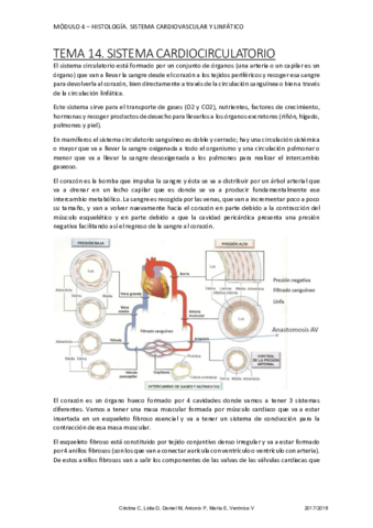 SISTEMA CARDIOCIRCULATORIO (1).pdf