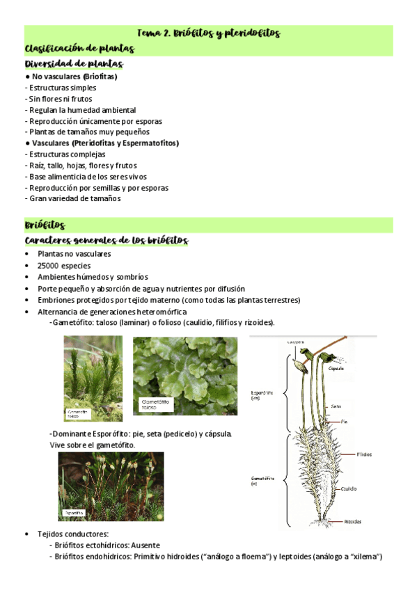 Tema-2-Briofitos-y-pteridofitos.pdf