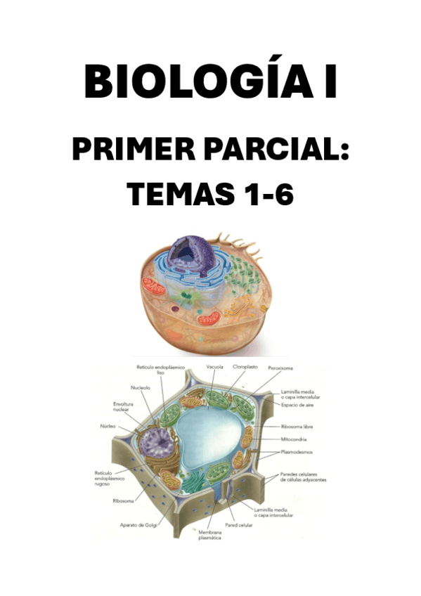 Primer-parcial.-Temas-1-6.pdf