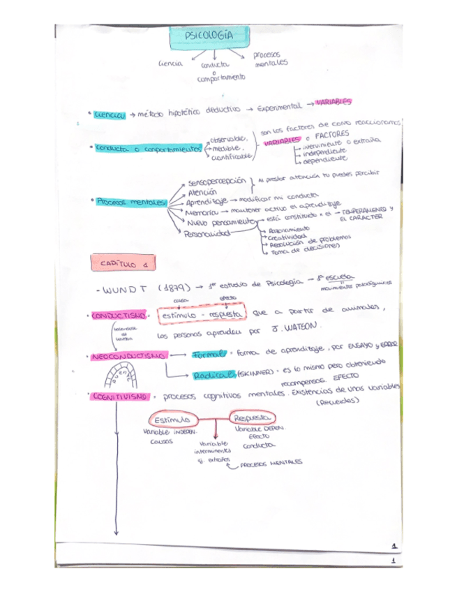 Apuntes-Psicologia-primer-ano-Magisterio-UPNA.pdf