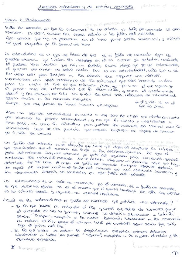 Apuntes-Mercados-Ambientales-y-de-Energias-Renovables.pdf