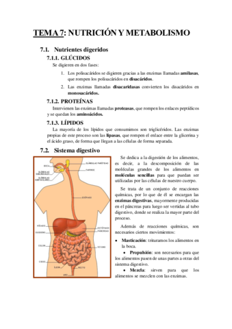 TEMA 7.pdf
