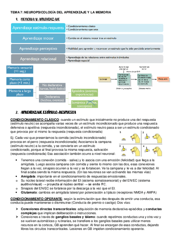 TEMA-7-Memoria-y-aprendizaje..pdf