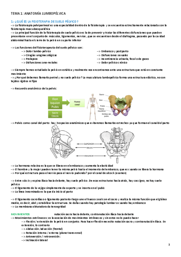 TEMA-1-PREVENTIVA.pdf